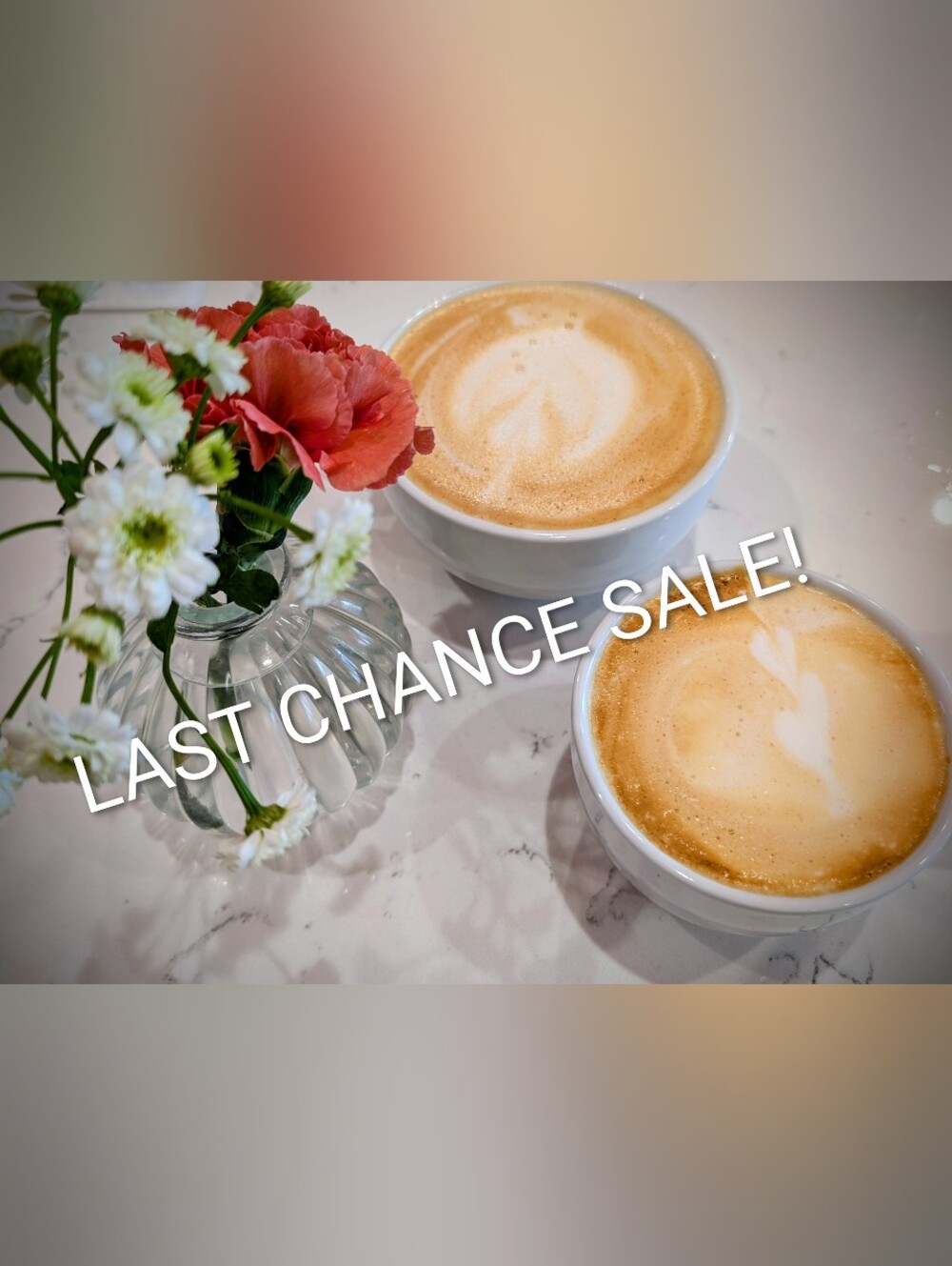 LAST CHANCE SALE!